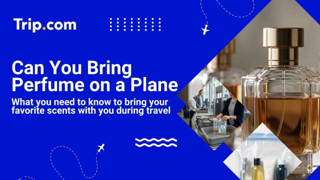 Can You Bring Perfume on a Plane? Rules & Tips | Trip.com