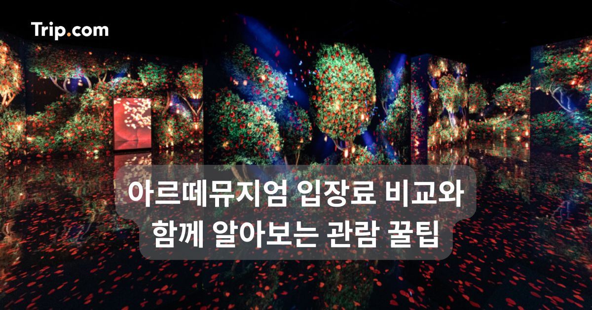 아르떼뮤지엄 입장료 비교와 함께 알아보는 관람 꿀팁 | 트립닷컴