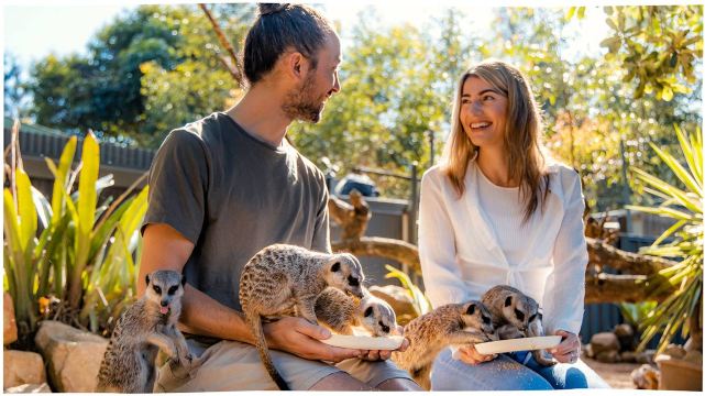 Wildlife HQ