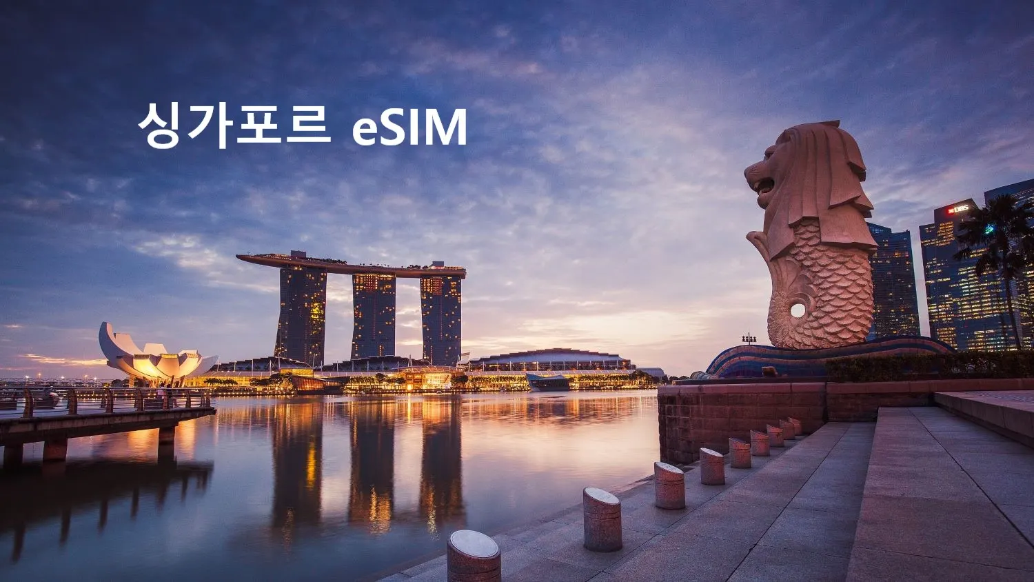 싱가포르 이심 상품별 특징