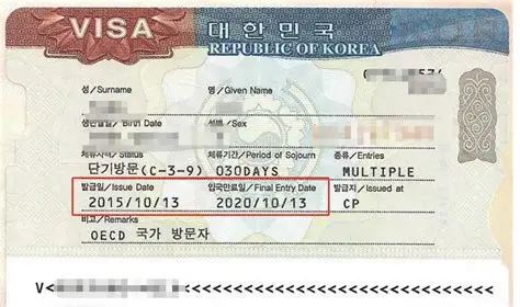 C-3-9 Short-Term Tourist Visa