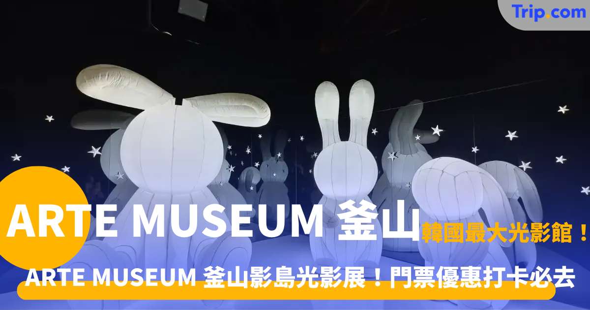 ARTE MUSEUM 釜山 | 門票優惠/交通路線/19大必睇展區指南 | Trip.com