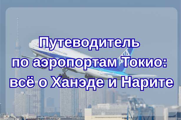 Путеводитель по аэропортам Токио: всё о Ханэде и Нарите| Trip.com