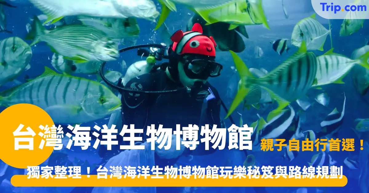 台灣海洋生物博物館 | 墾丁自由行攻略：展區亮點、門票優惠與夜宿體驗 | Trip.com