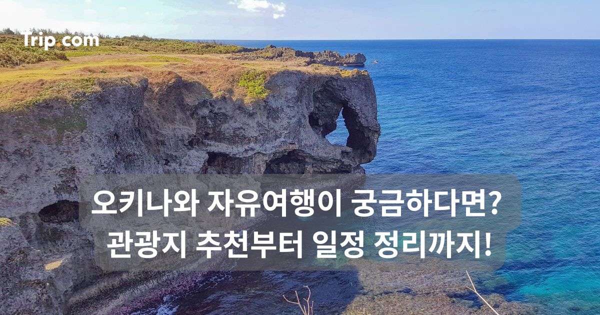 오키나와 자유여행이 궁금하다면? 관광지 추천부터 일정 정리까지 | 트립닷컴