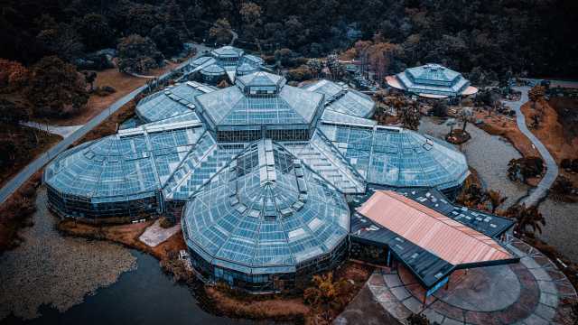 Menjelajahi Alam di South China National Botanical Garden