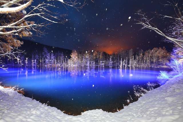 青い池|雪に包まれた幻想的なライトアップが魅力