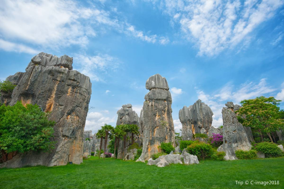 1. Stroll Through the Enchanting Stone Forest