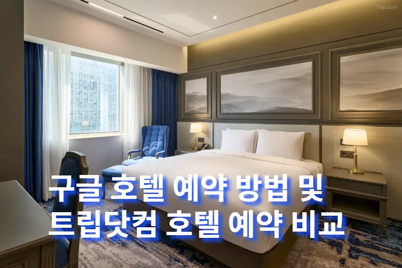 구글 호텔 예약