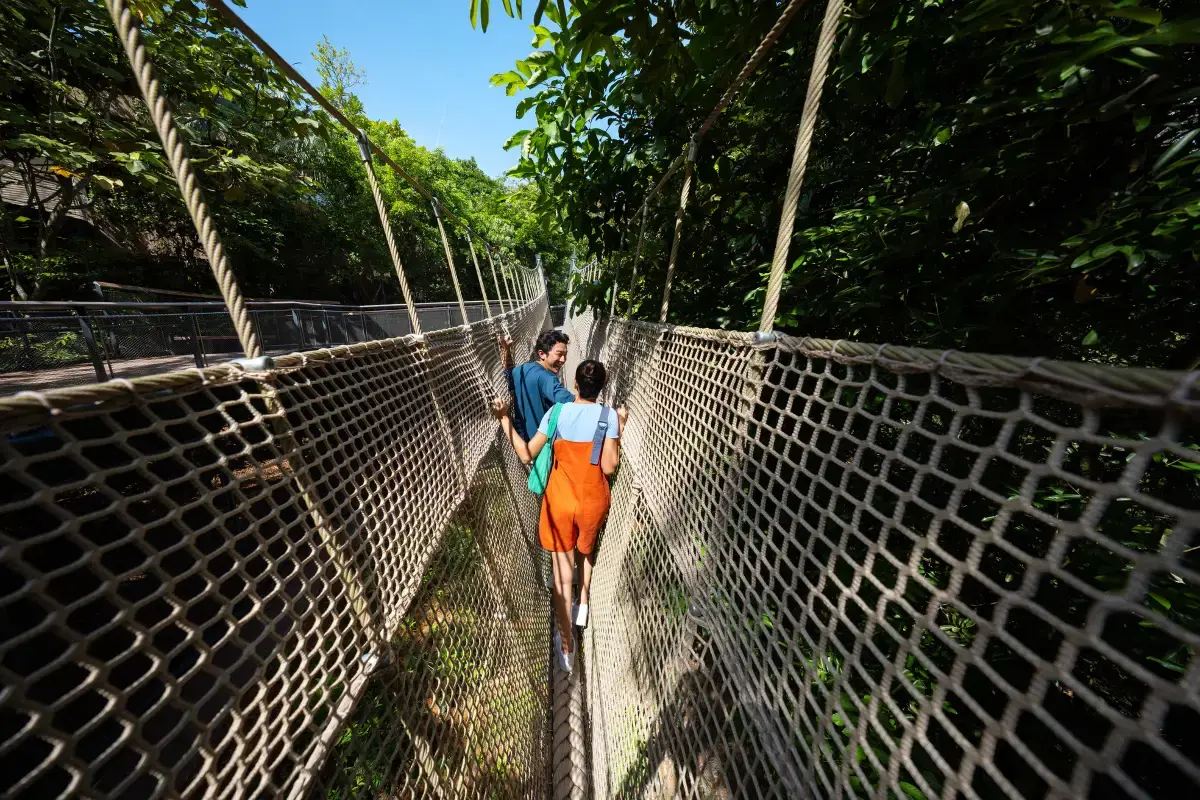 レインフォレスト・ワイルド・アジアの服装と持ち物