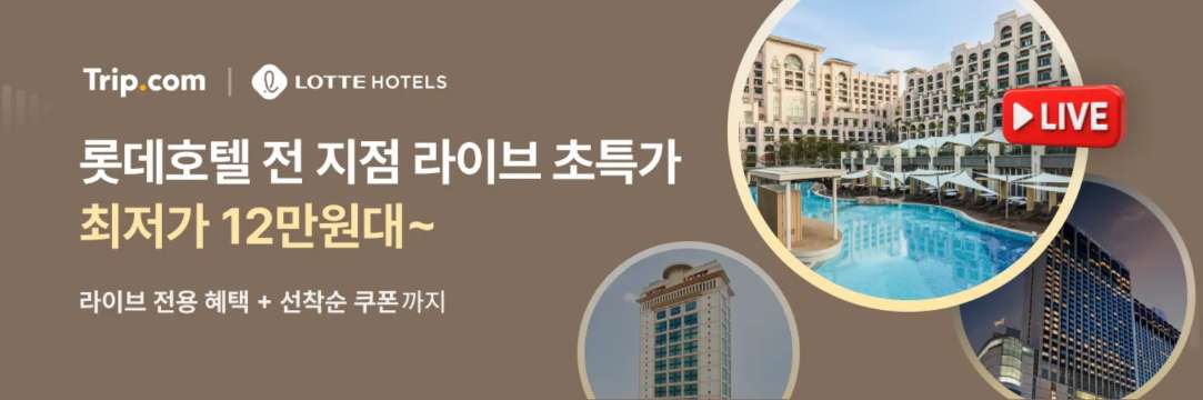 롯데호텔 라이브 특가