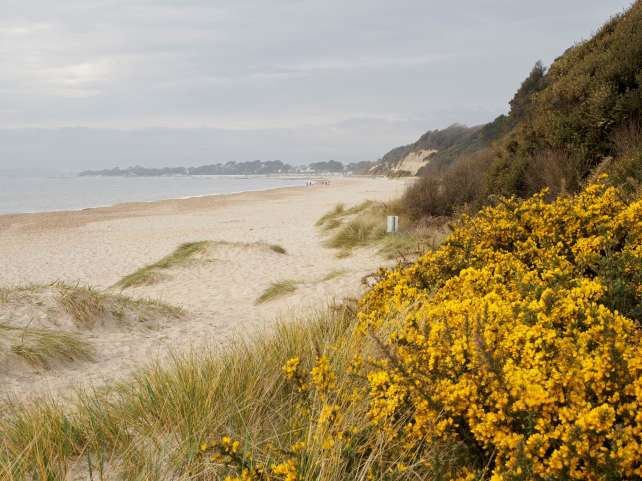 Highcliffe Beach