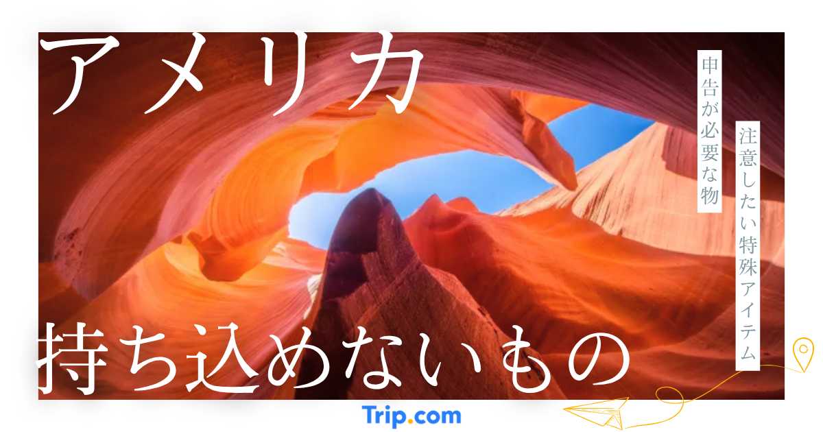 【2026年】アメリカ持ち込み禁止一覧｜食品・薬・申告ルール解説