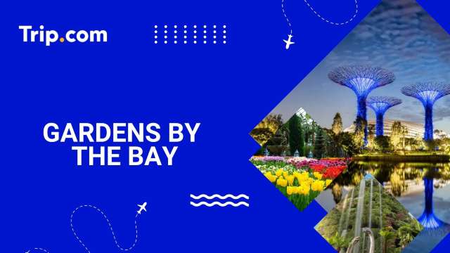 Gardens by the Bay