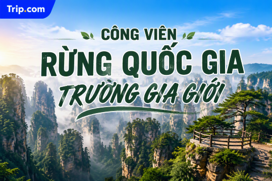 Kinh nghiệm du lịch Công viên Rừng Quốc gia Trương Gia Giới 2026 | Trip.com