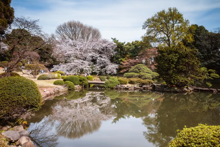 Shinjuku Gyoen National Garden