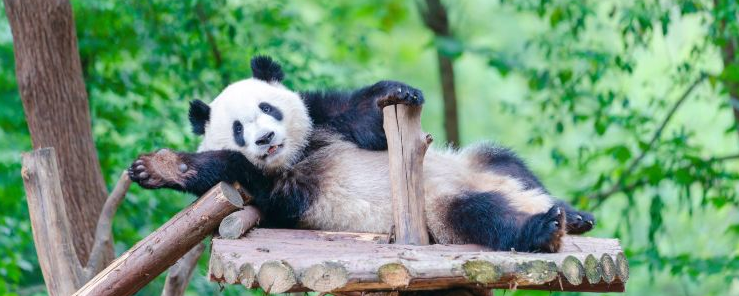 Best Chengdu Metro Lines & Stops for Travel