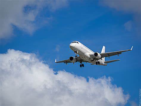 航空会社別・フレキシブル航空券の特徴
