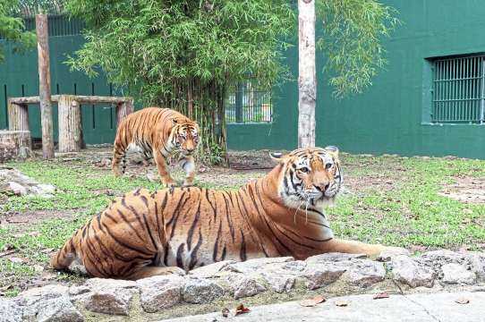 Zoo Johor