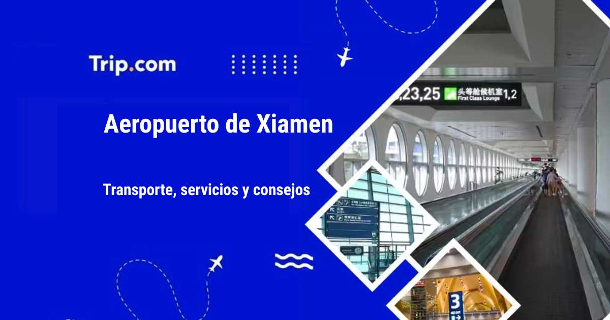 Aeropuerto de Xiamen: transporte, servicios y consejos