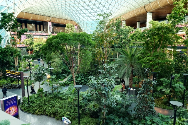 ハマド国際空港(カタール)