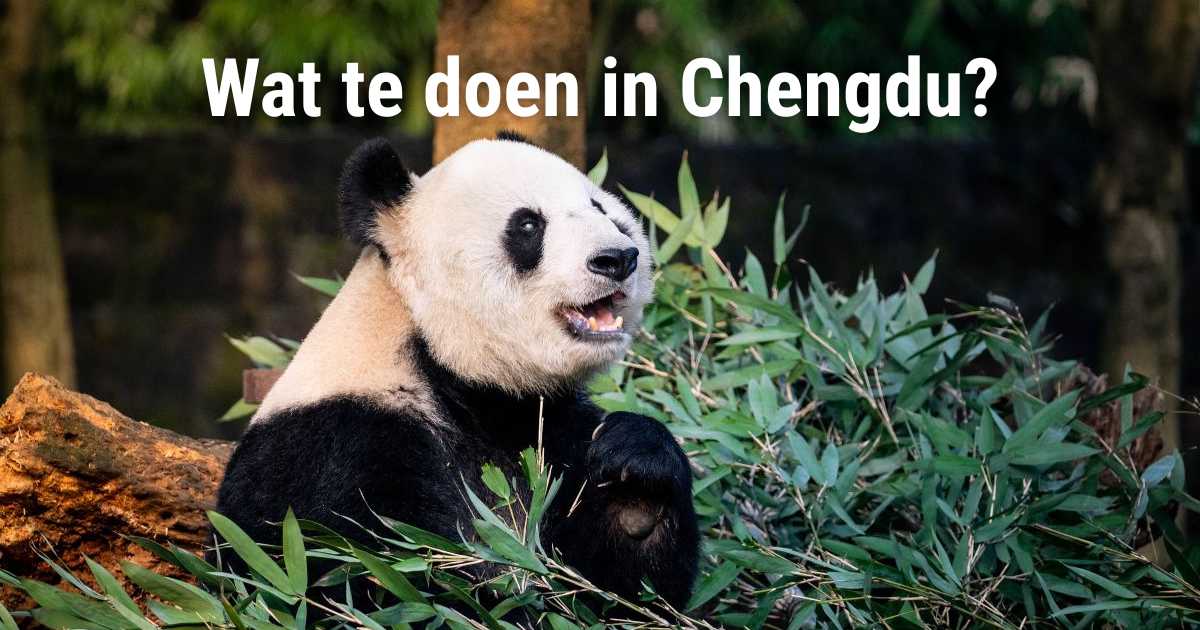 Wat te doen in Chengdu? Activiteiten & bezienswaardigheden