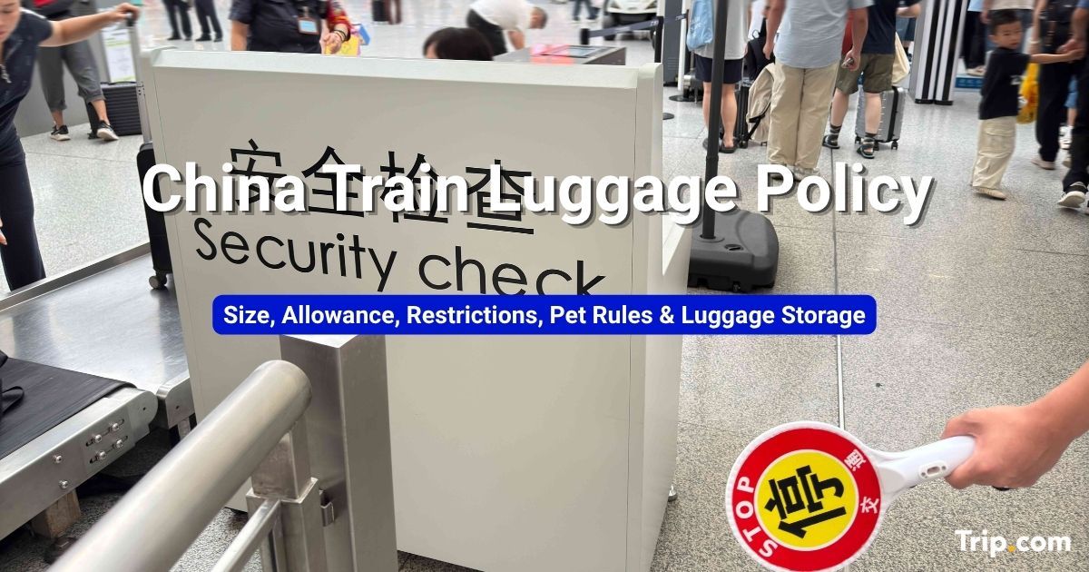 China Train Luggage: Size, Allowance, Restrictions & Pets