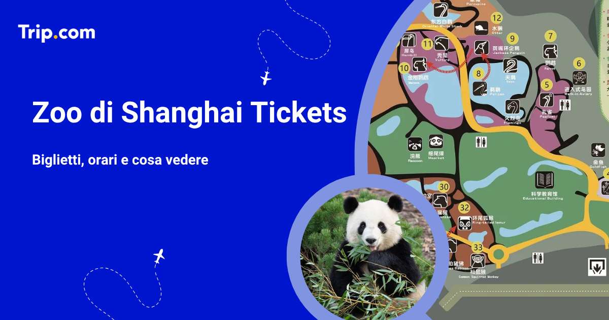 Zoo di Shanghai: biglietti e guida