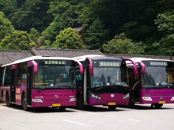 Bus Wisata