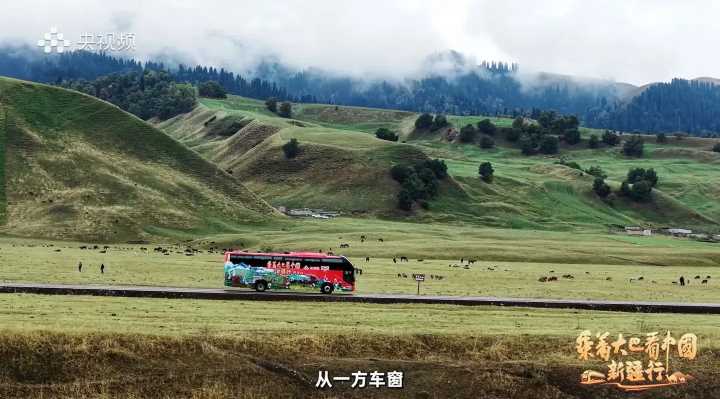 Bus Travel in Xinjiang