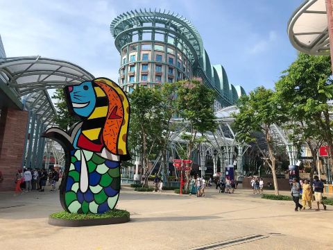 Аквапарк Adventure Cove, что посмотреть рядом