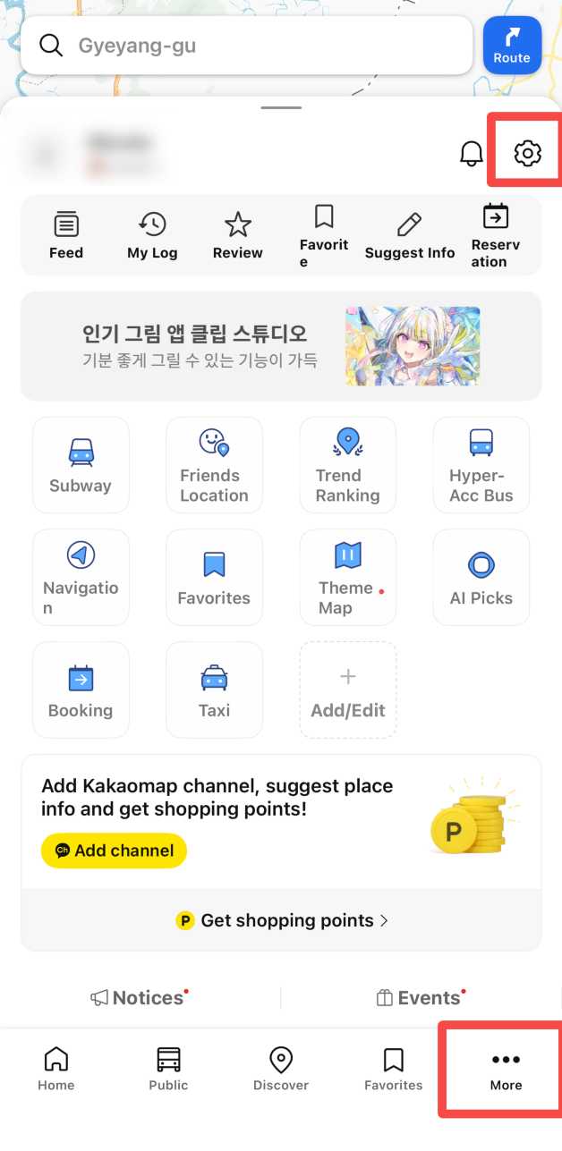 Can You Use KakaoMap in English?