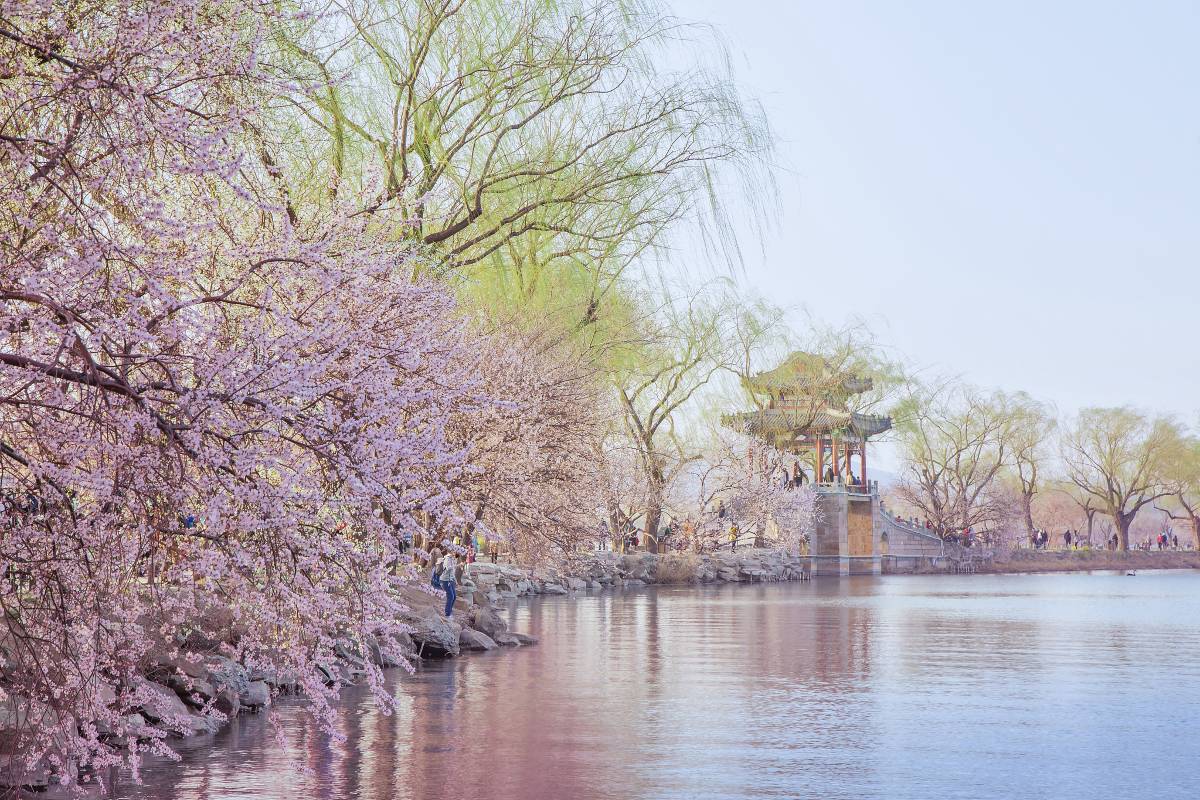 Summer Palace