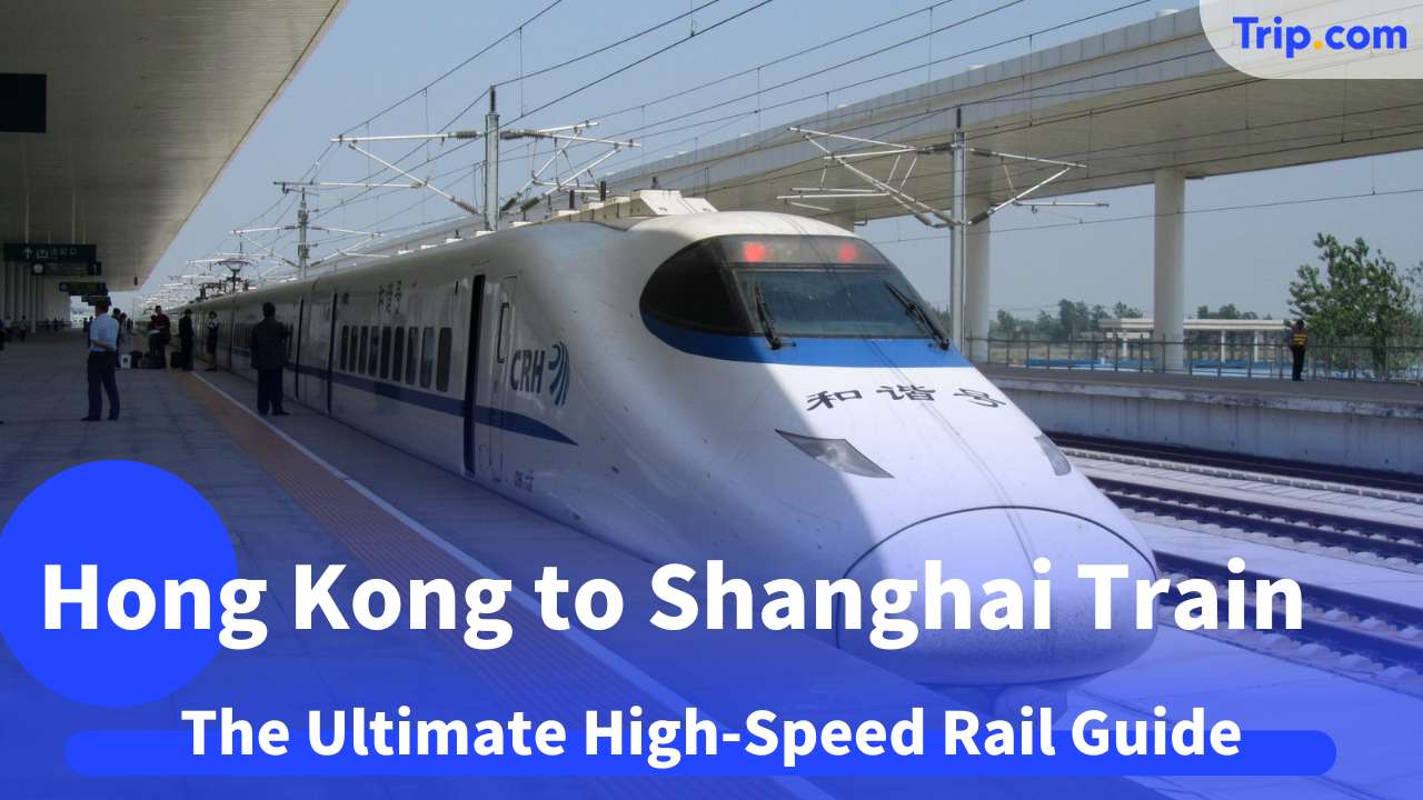 Hong Kong to Shanghai train