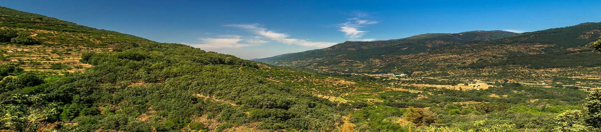 Qué ver en el Valle del Jerte: guía completa