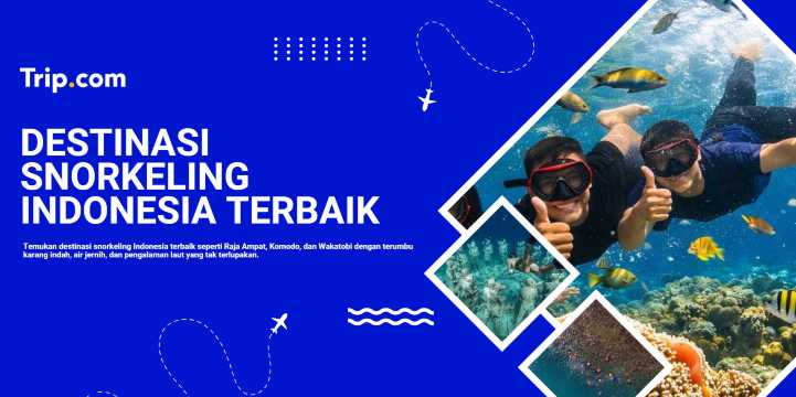 Snorkeling Indonesia Terbaik: Destinasi Bawah Laut yang Wajib Dicoba | Trip.com