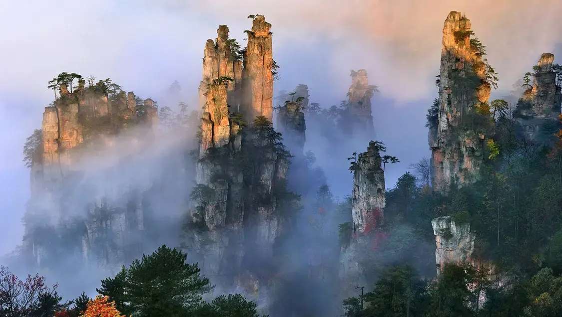 Tianzi Mountain