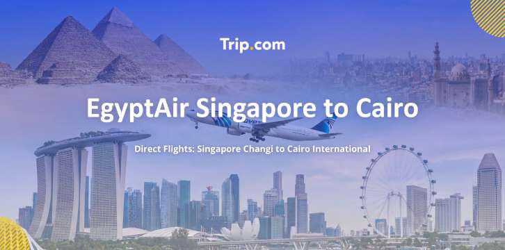 EgyptAir Singapore to Cairo Direct Flight Guide | Trip.com