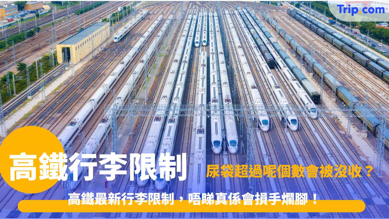 高鐵行李限制