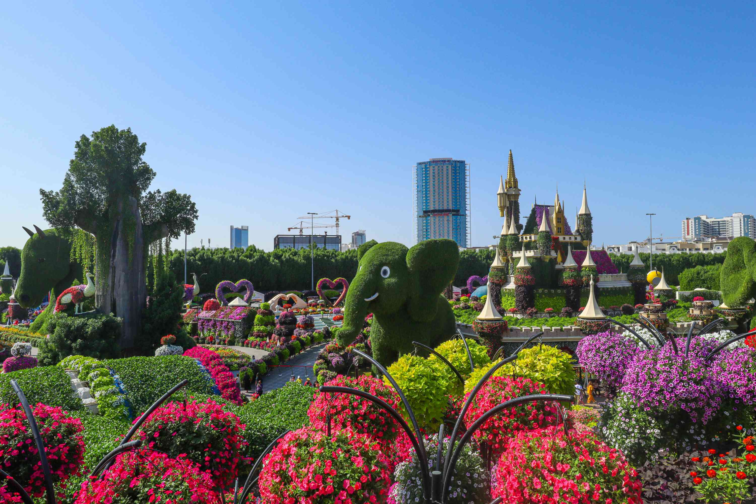 Miracle Garden дубай, парк бабочек