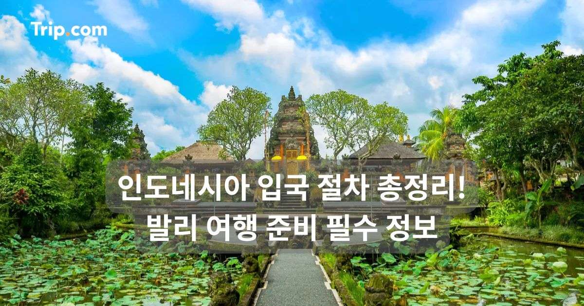 인도네시아 입국 절차 총정리! 발리 여행 준비 필수 정보 | 트립닷컴