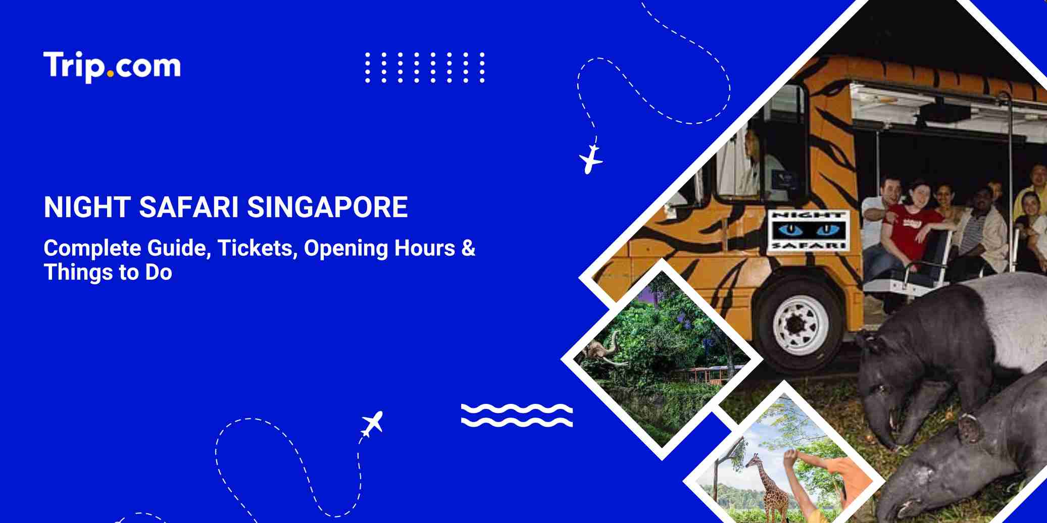 Night Safari Singapore