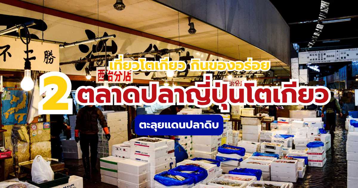 ตลาดปลาญี่ปุ่นโตเกียว