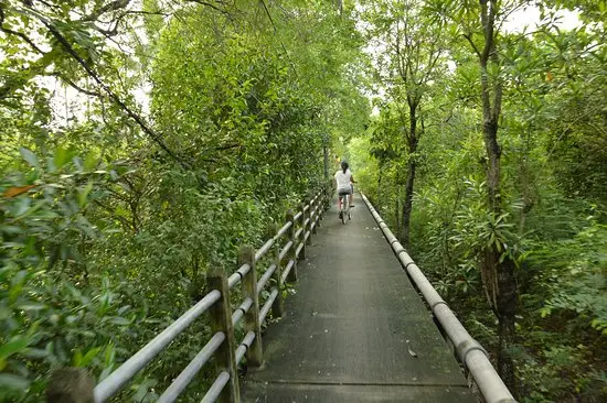 Bang Kachao (Bangkok’s Green Lung)