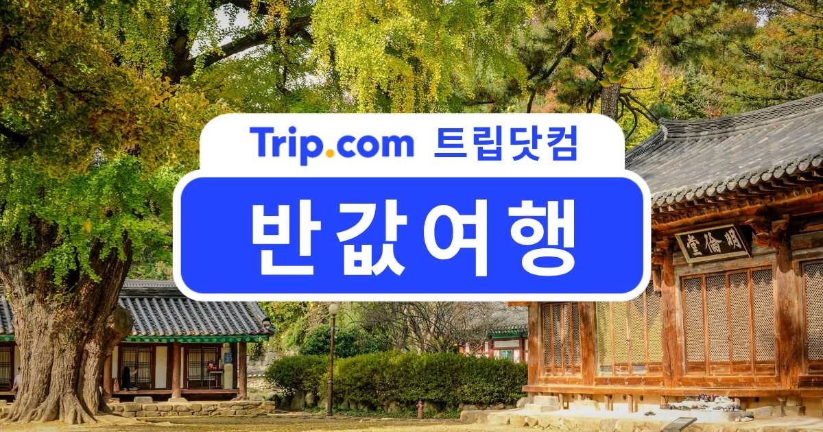 반값여행 가이드
