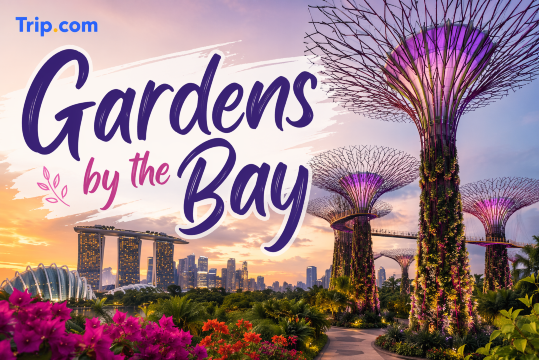 Gardens by the Bay Tickets Guide: Opening Hours, Best Time and Things to Do | Trip.com