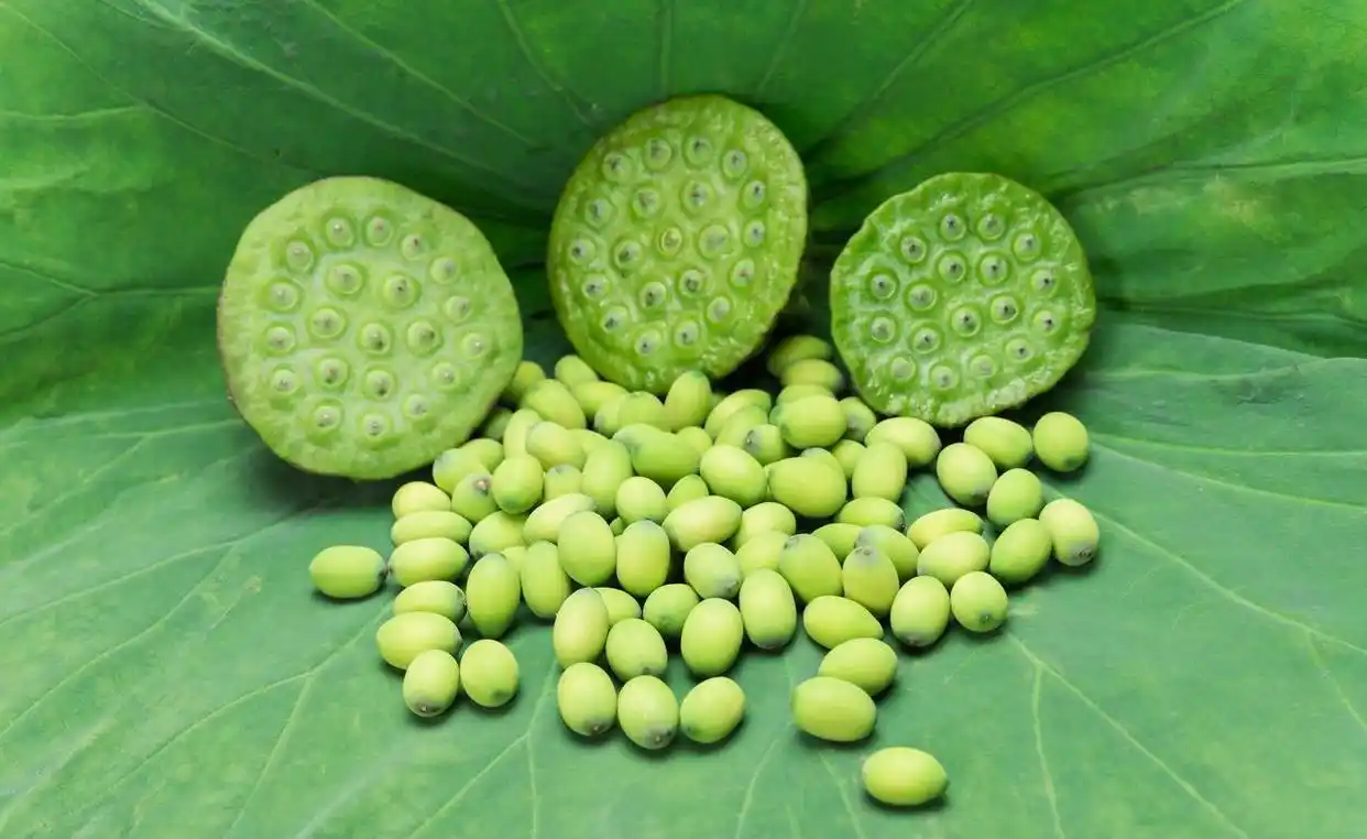 เมล็ดบัวอบแห้ง