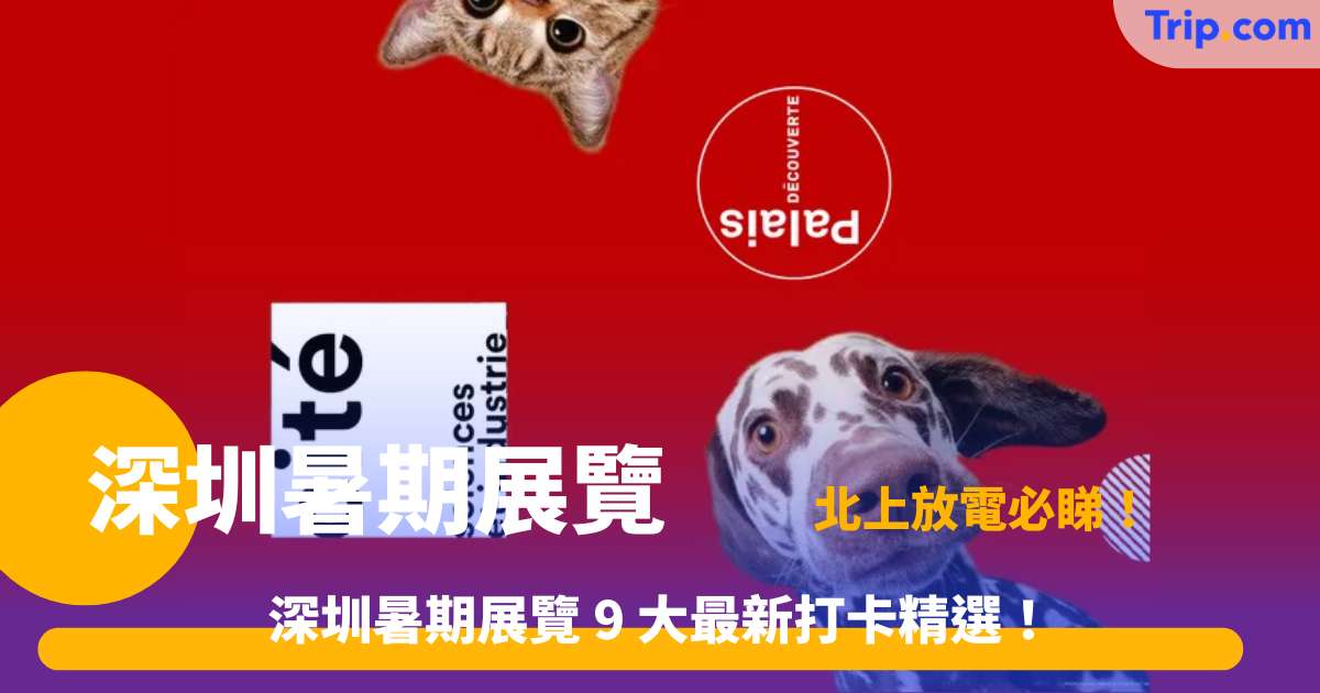 深圳暑期展覽 2026 | 9 大熱門展覽推薦與觀展攻略 | Trip.com