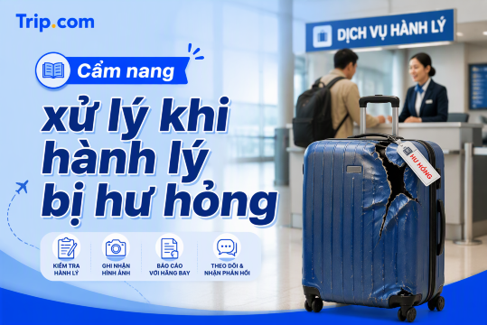 Hành lý bị hư hỏng khi đi máy bay: Cách xử lý, khiếu nại & bồi thường | Trip.com