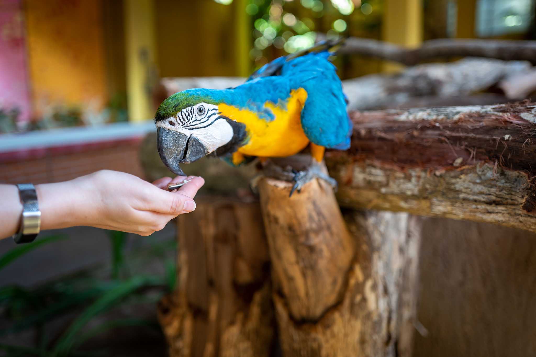 Langkawi Wildlife Park & Bird Paradise